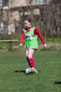Bild 217 - F SG NieBar - IF Stjernen Flensborg : Ergebnis: 4:1